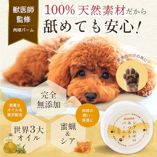 【獣医師監修】肉球クリーム 犬 猫 完全無添加 舐めても安心 シアわせのみつろうバーム シアバター 蜜蝋 100%天然由来 世界3大オイル 日本製 20g